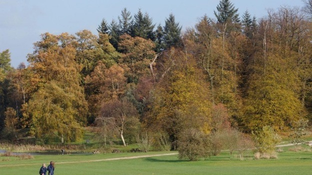Autumn colours as Ash trees face a threat from Europe