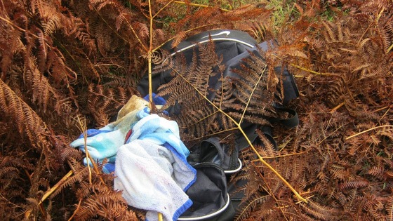 Holdall in bracken