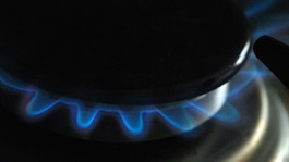 A gas hob