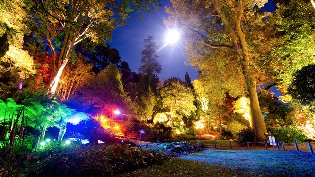 Gardens lit up