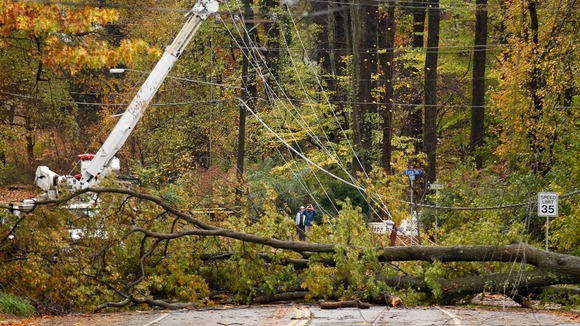 A tree entwined with power lines