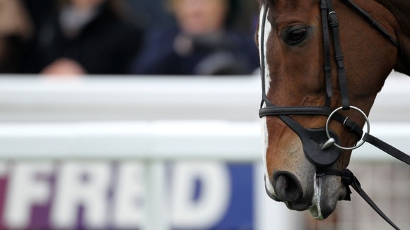 Kauto Star before the Betfred Cheltenham Gold Cup Chase in March