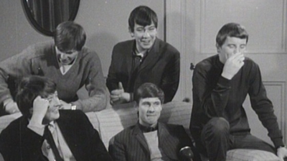 The Animals