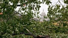 Capitol Hill can be seen through the fallen trees in Washington, where the Leicester schoolgirls were unable to catch their flight