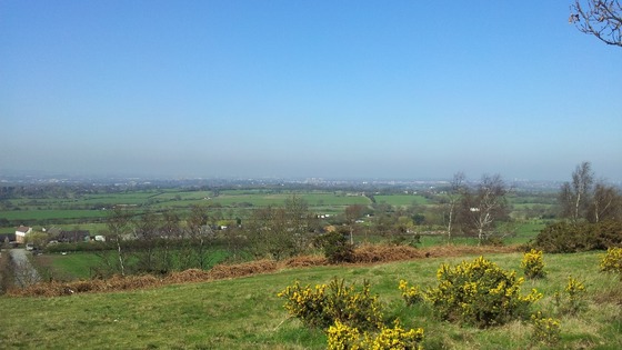 View from Barr Beacon, Walsall