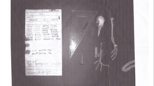 Pigeon skeleton and coded message it was carrying