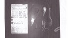 Pigeon skeleton and coded message it was carrying