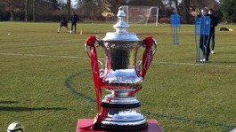 The FA Cup sponsored by Budweiser