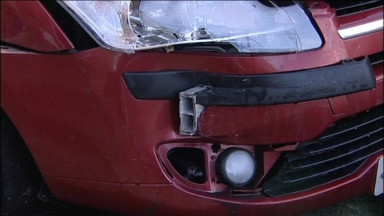 The car crashed into Carole Suttle's car and then drove off