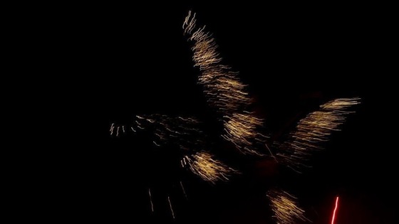 Firework