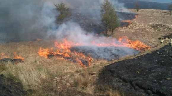 Grass Fire