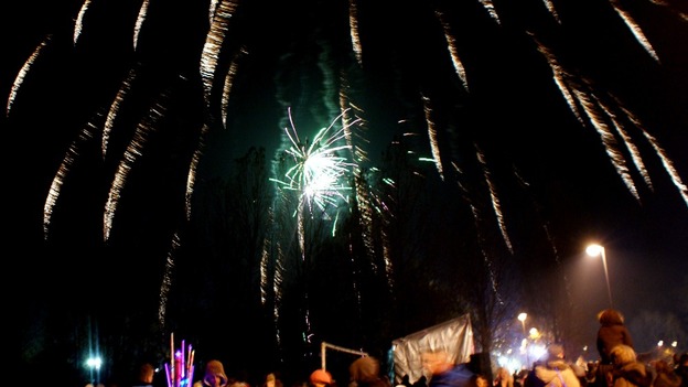 Fireworks display at Walker Park in Newcastle