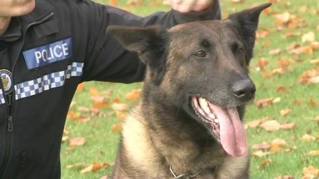 Janus has been on the beat in the West Midlands for the last 10 years