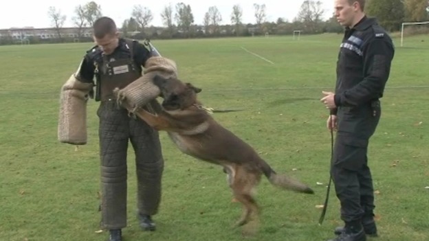 He may be an old dog but he's still got what it takes to catch a villain