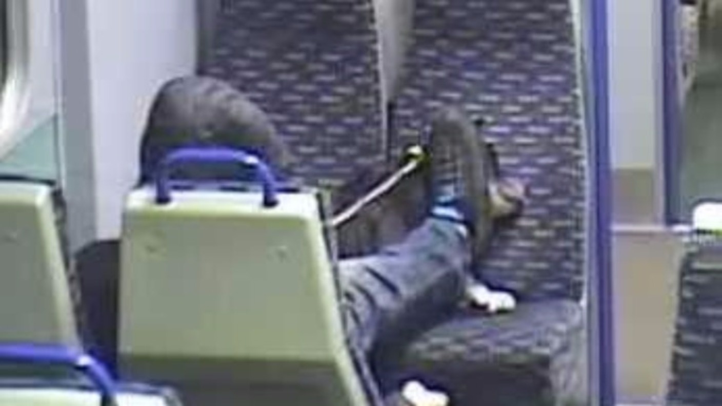 Shows Dog Cruelly On Essex Train Shows Dog Cruelly On Essex Train