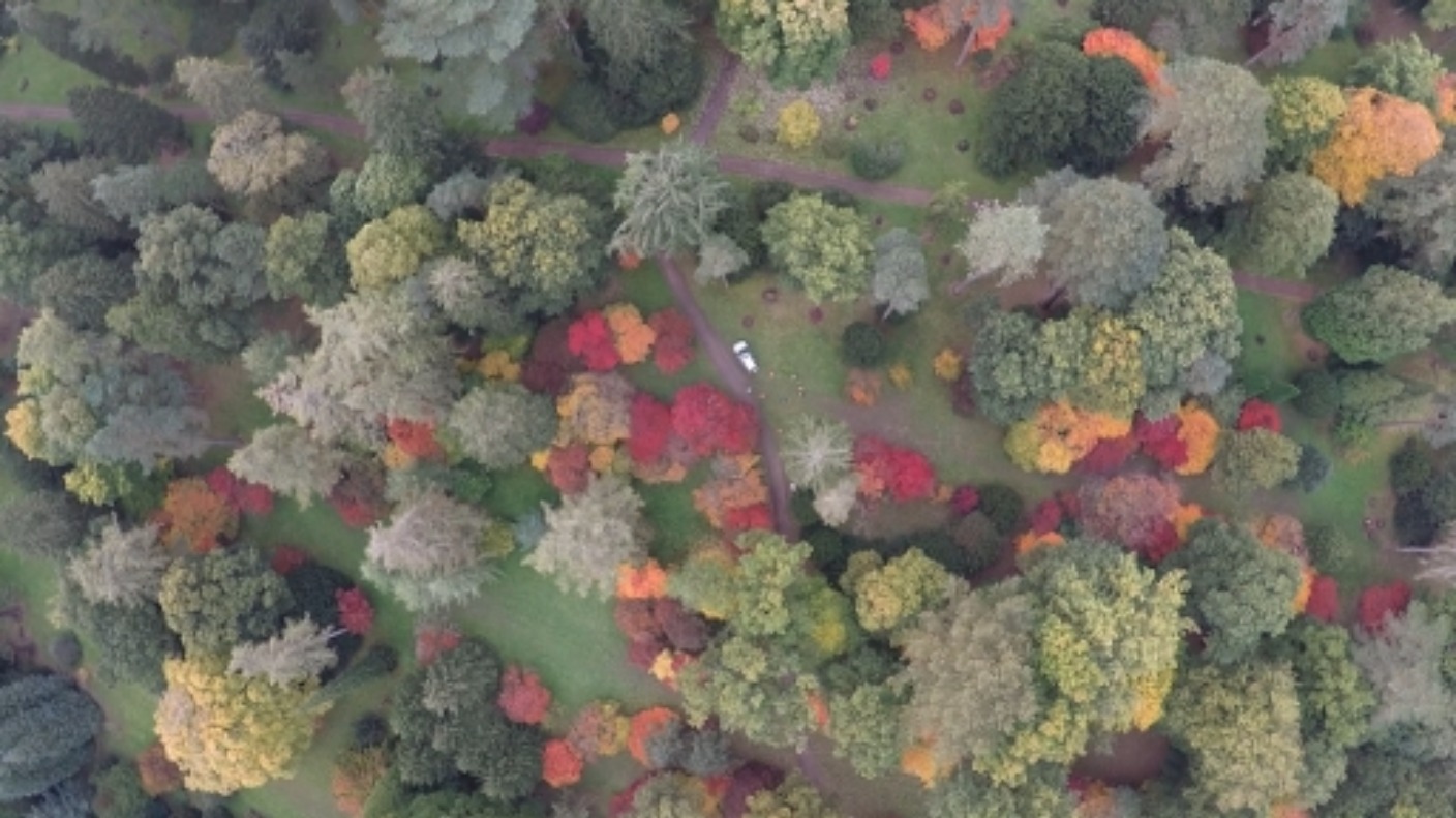 Olly Murs announces Westonbirt Arboretum concert West Country ITV News