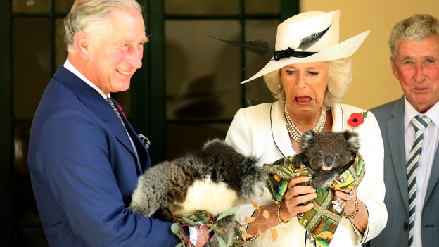 Prince Charles joked about the koalas' reputation for having weak bladders