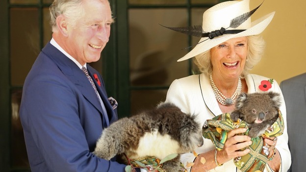 The Prince of Wales and Duchess of Cornwall hold koalas at Government House in Adelaide