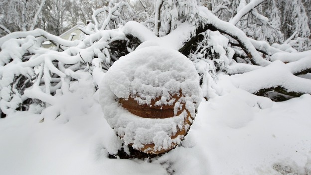 snow