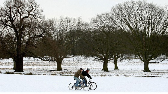 Cyclists ride through snow in Richmond Park.