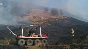 Firefighters fighting grass fire