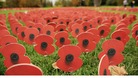 Remembrance Day
