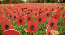 Remembrance Day