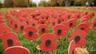 Remembrance Day