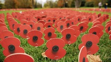 Remembrance Day