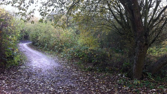 Hatfield