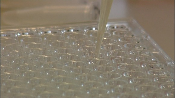 Testing for MRSA