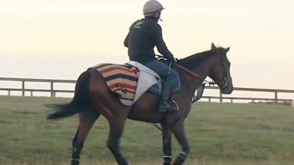 Frankel