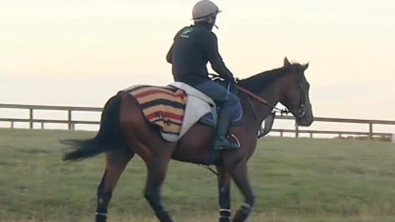 Frankel