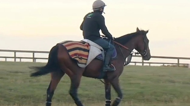 Frankel