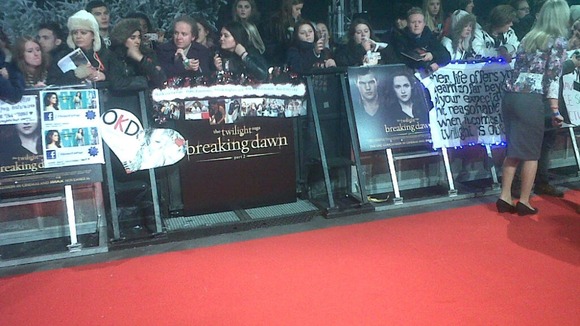 On the red carpet at the premiere of The Twilight Saga: Breaking Dawn Part 2.