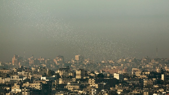 Israel Gaza Hamas