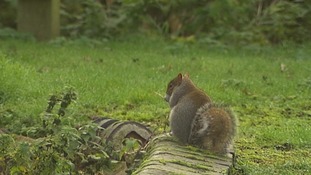 Lee Valley Regional Park.