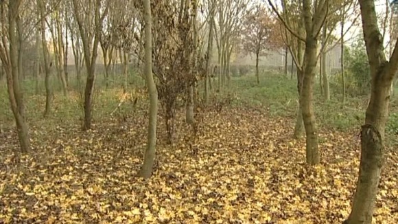 Outbreaks have already been confirmed in parts of Shropshire, Worcestershire and in the East Midlands