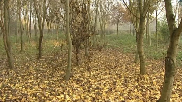 Outbreaks have already been confirmed in parts of Shropshire, Worcestershire and in the East Midlands