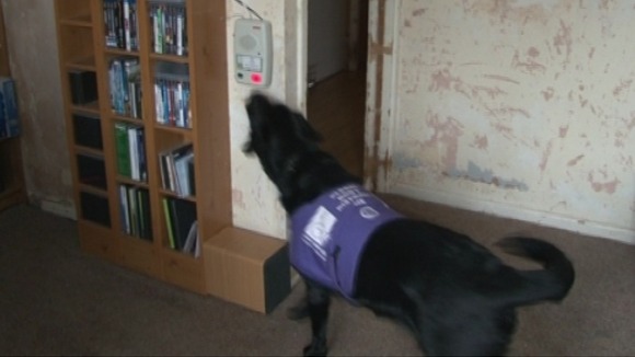 Mille presses the emergency Lifeline button