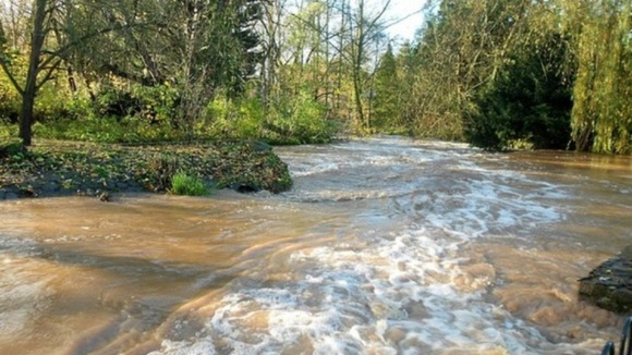 Vivary Park in Taunton