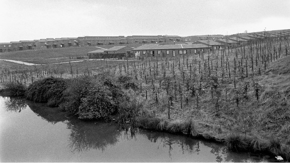 Developers also planned areas of trees and open space among the housing estates