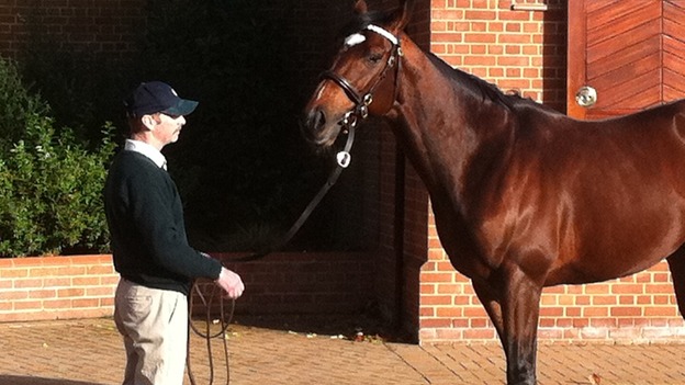 Frankel takes a bow