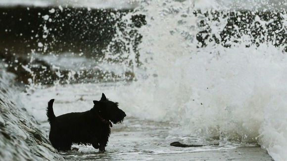 Parts of the UK have faced another day of strong winds and heavy rain