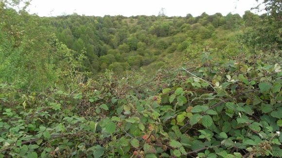 The Hanbury Crater