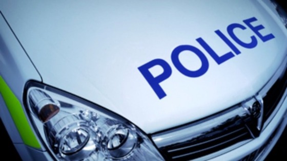Police are searching parts of Botchergate for a gun.