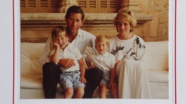 Prince Charles and Diana pictured with Prince William and Prince Harry.
