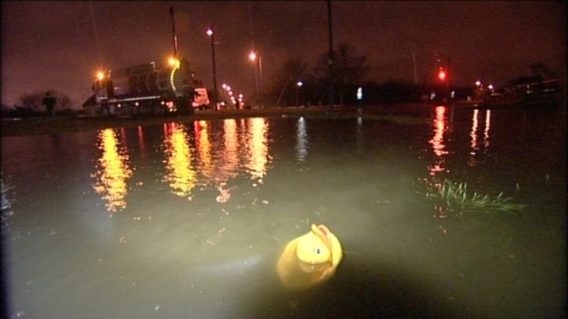 Rubber duck