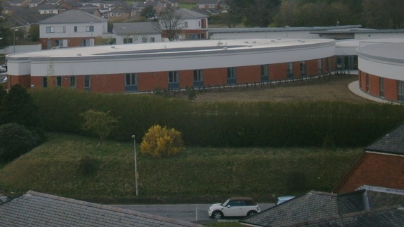 Ysbryd y Coed