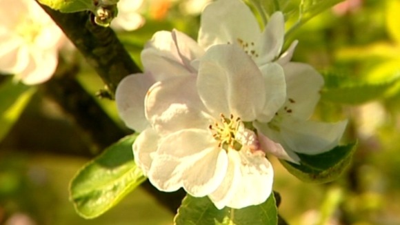 The Shepton Mallet Cider Mill is beginning £1 million worth of investment.